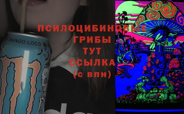 гашик Балабаново