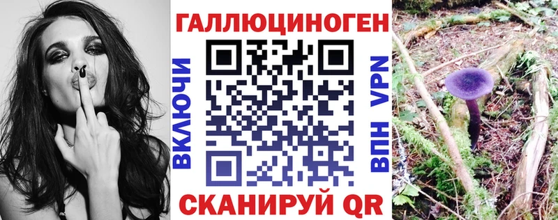 Псилоцибиновые грибы мицелий Челябинск